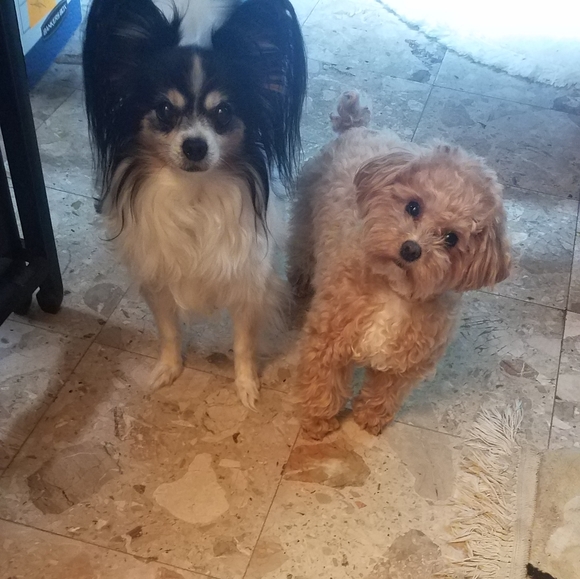 Meet your Posher, Nan kc - Picture 3 of 12